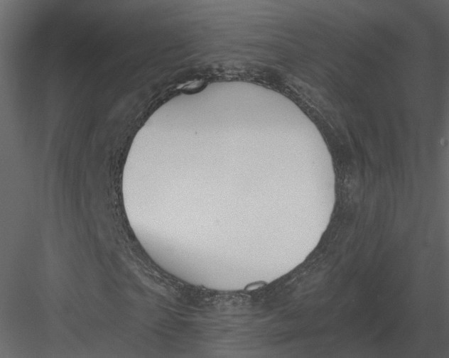 X0000083530865200702240015