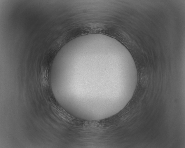 X0000083530866200702240015