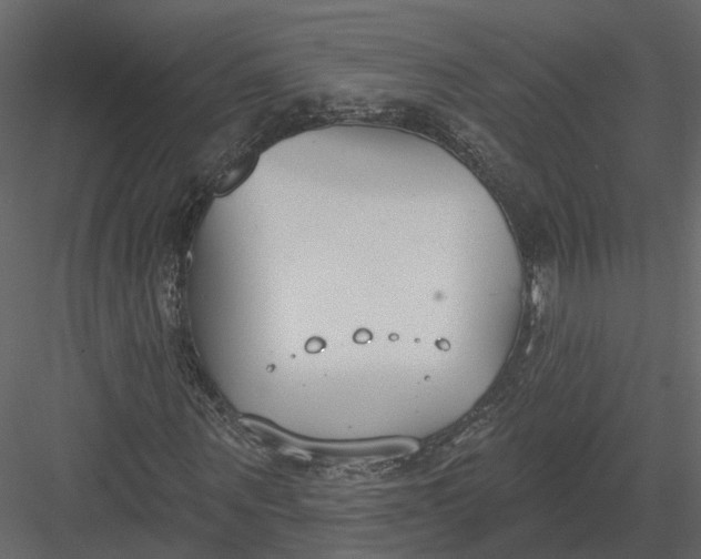 X0000083530867200702240015