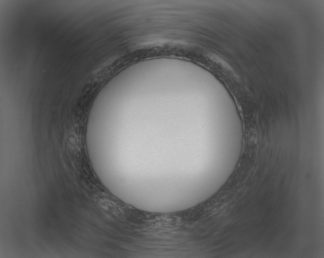 X0000083530869200702240015