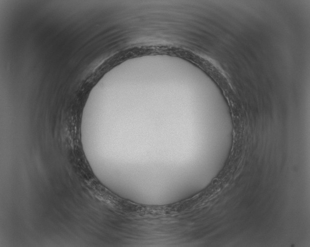 X0000083530871200702240015