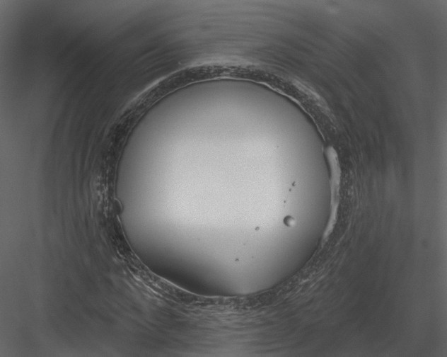 X0000083530872200702240015