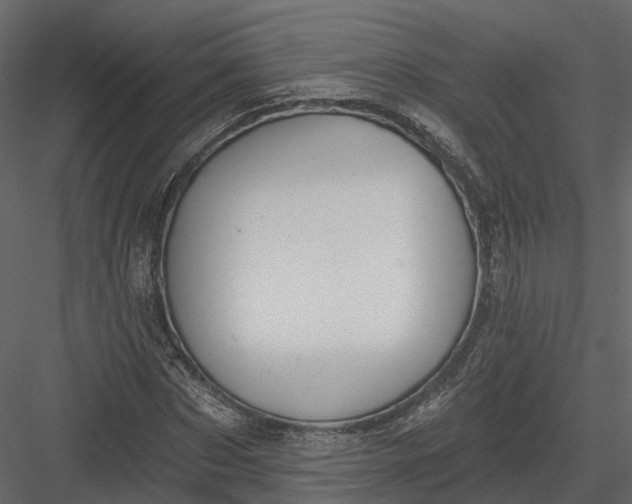 X0000083530873200702240015