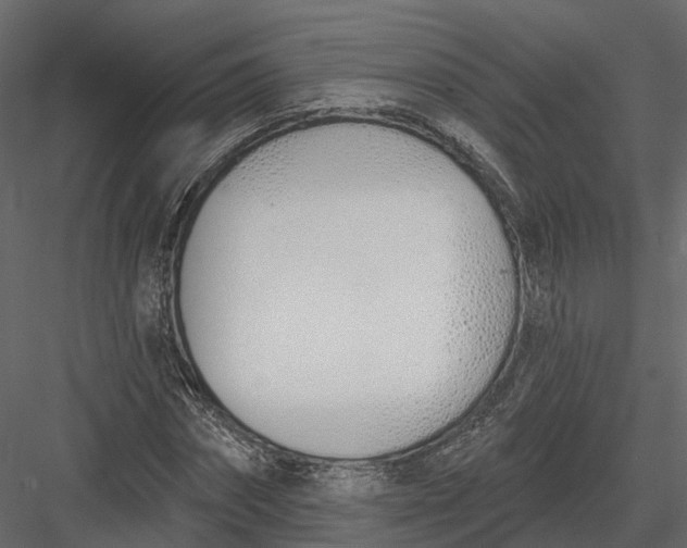 X0000083530874200702240015