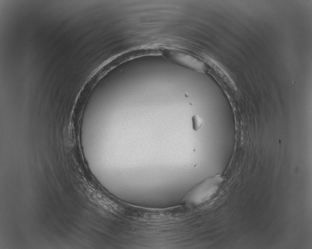 X0000083530876200702240015