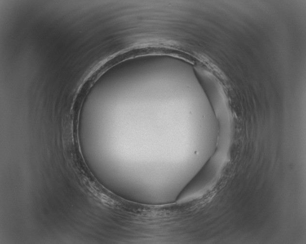 X0000083530877200702240015