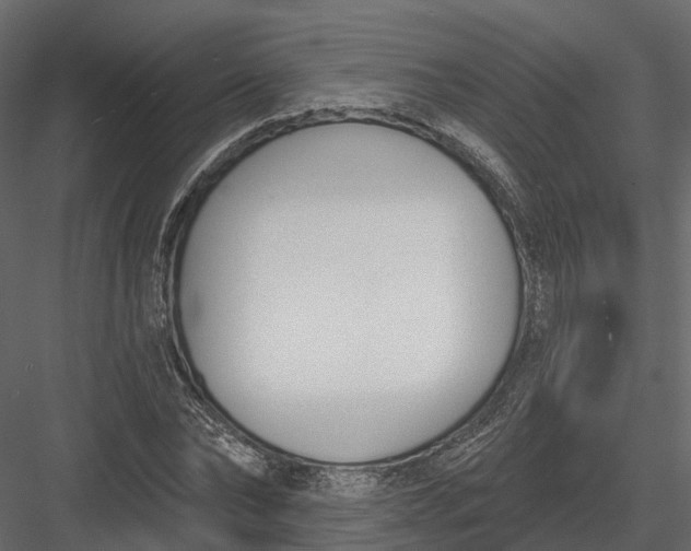 X0000083530878200702240015