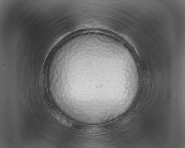 X0000083530879200702240015