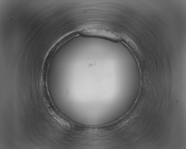 X0000083530880200702240015