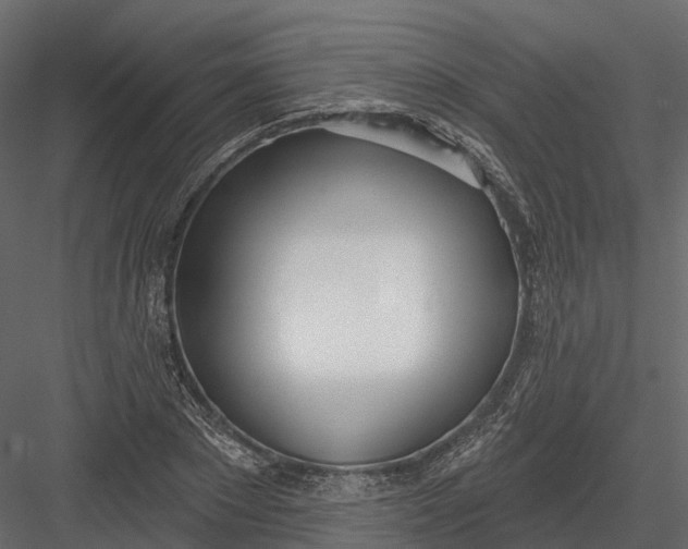 X0000083530881200702240015