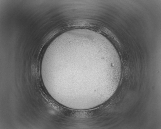 X0000083530882200702240015