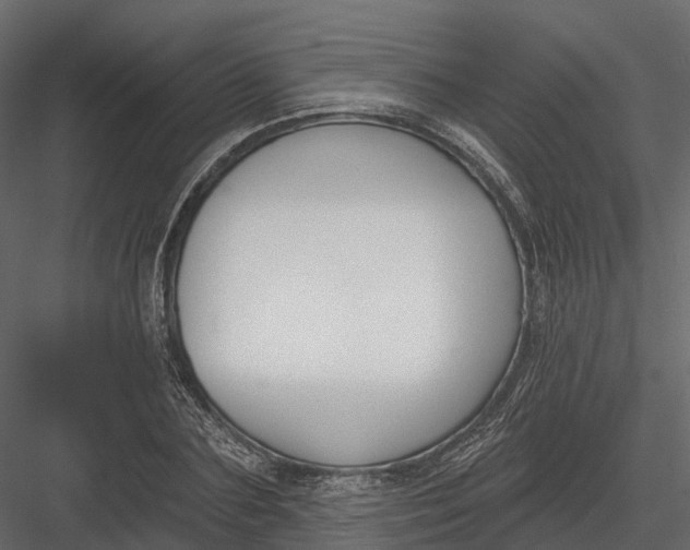 X0000083530883200702240015