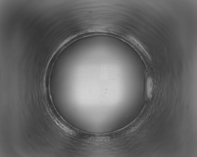 X0000083530884200702240015