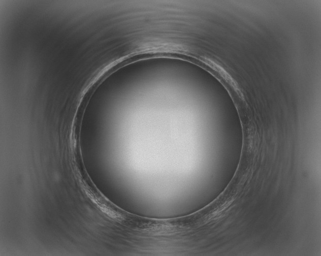 X0000083530885200702240015