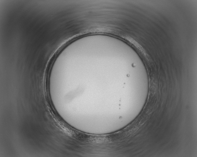 X0000083530886200702240015