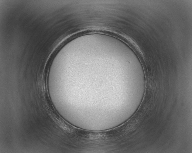 X0000083530887200702240015