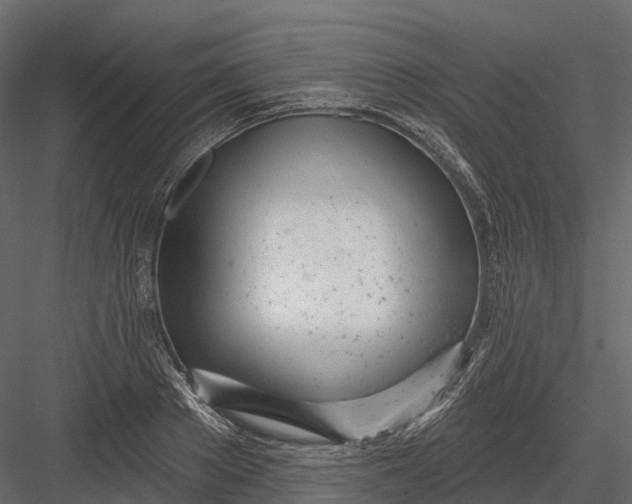 X0000083530889200702240015