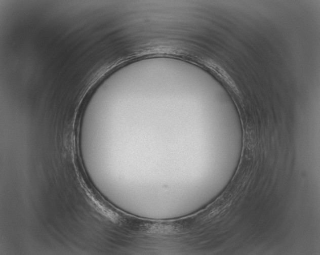 X0000083530890200702240015