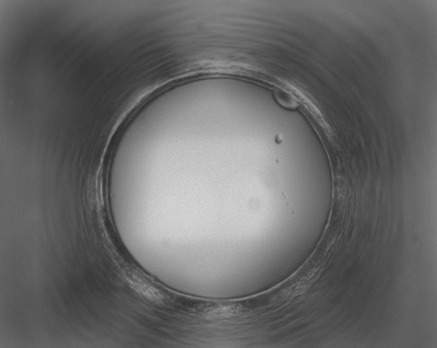 X0000083530891200702240015