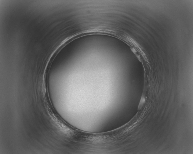 X0000083530892200702240015