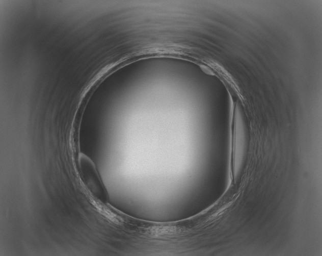 X0000083530893200702240015