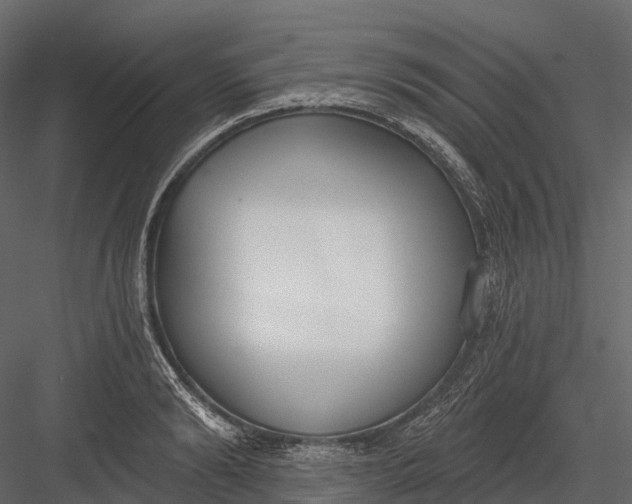 X0000083530894200702240015