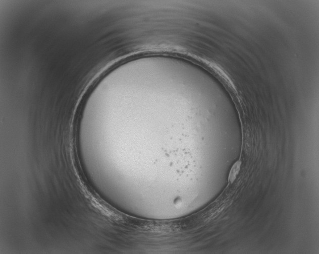 X0000083530895200702240015