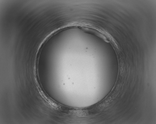 X0000083530896200702240015