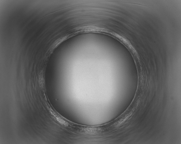 X0000083530897200702240015