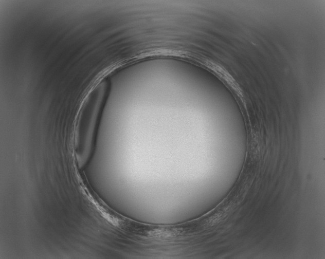 X0000083530898200702240015