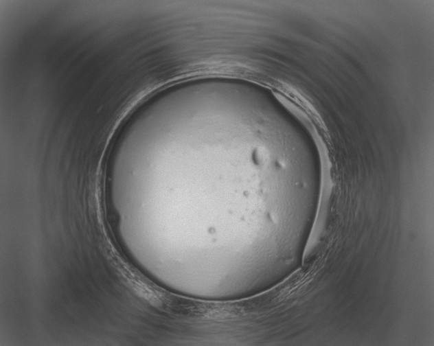 X0000083530899200702240015