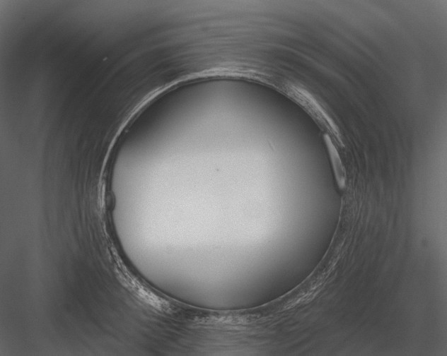 X0000083530900200702240015