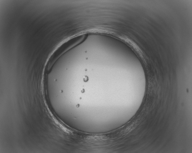 X0000083530902200702240015