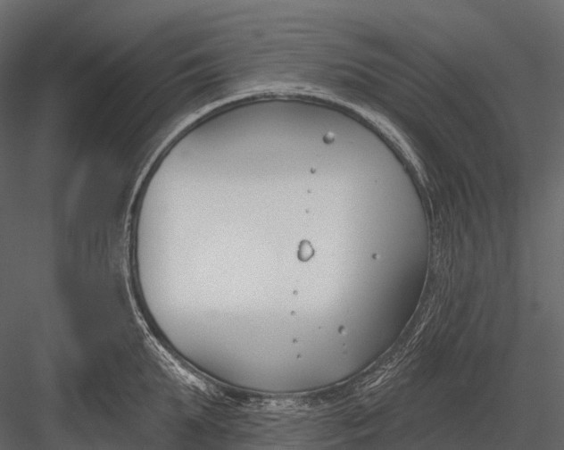 X0000083530903200702240015