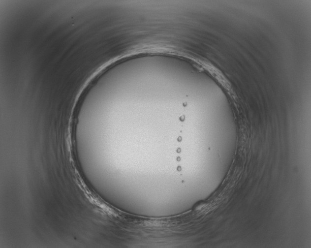 X0000083530904200702240015