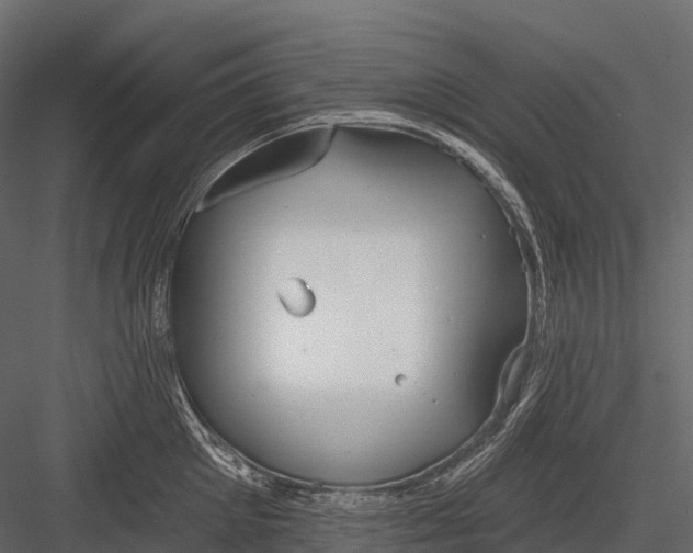 X0000083530905200702240015