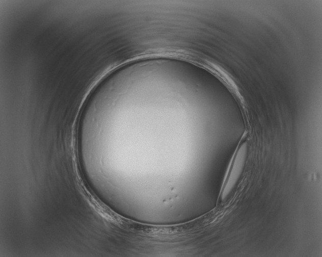 X0000083530907200702240015