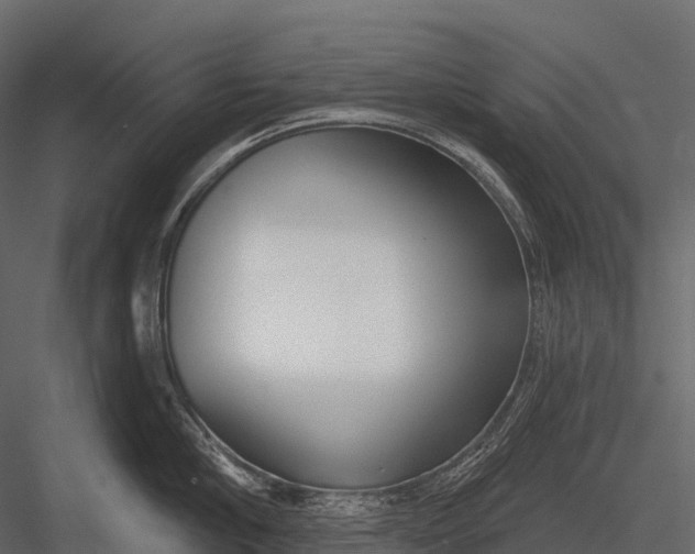 X0000083530910200702240015