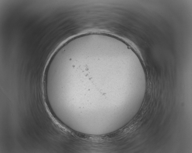 X0000083530911200702240015