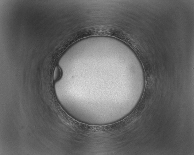 X0000083530913200702240014