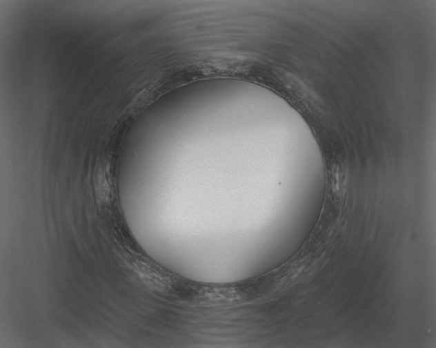 X0000083530915200702240014