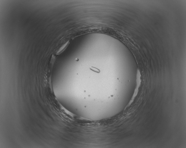 X0000083530916200702240014