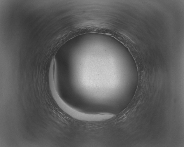 X0000083530917200702240014