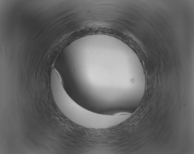 X0000083530919200702240014