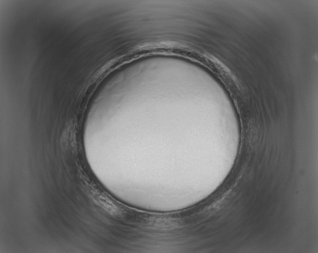 X0000083530921200702240014