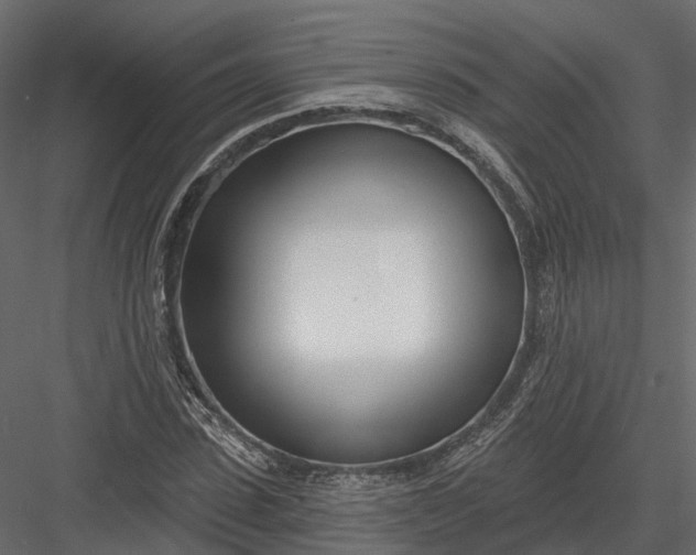 X0000083530923200702240014