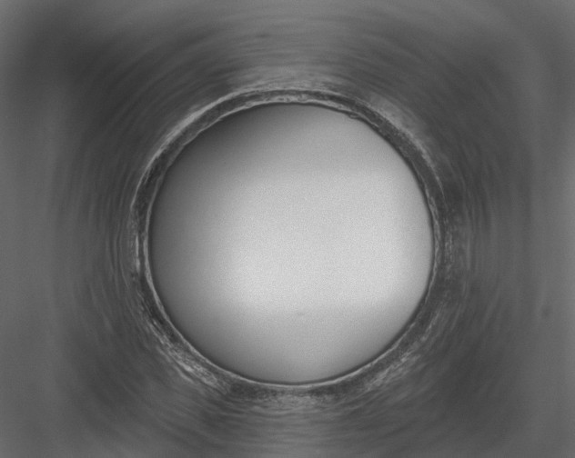 X0000083530925200702240014