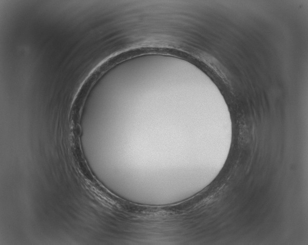 X0000083530926200702240014