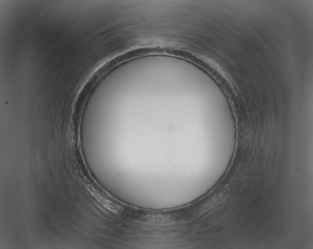 X0000083530927200702240014