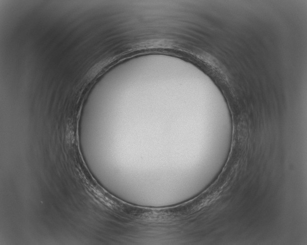 X0000083530929200702240014